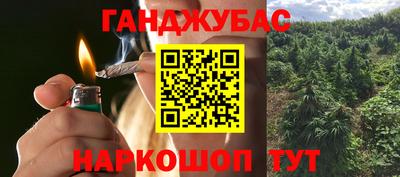 МДПВ Лесосибирск
