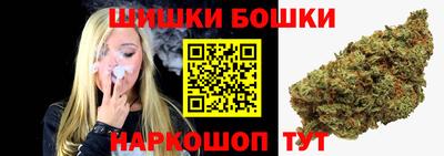 МДПВ Лесосибирск